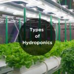 types of hydroponics systems