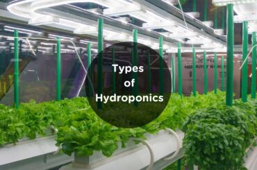 types of hydroponics systems